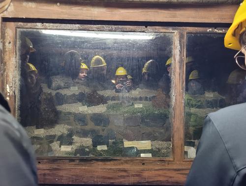 Excursion Zinnkammern